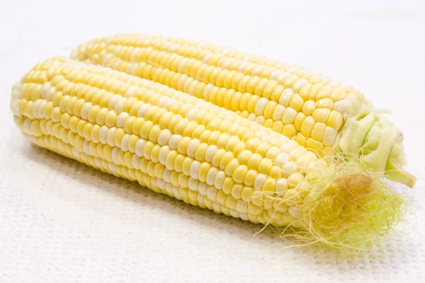 黄玉米 — 图库照片