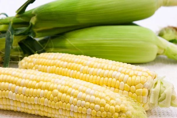 白玉米 — 图库照片