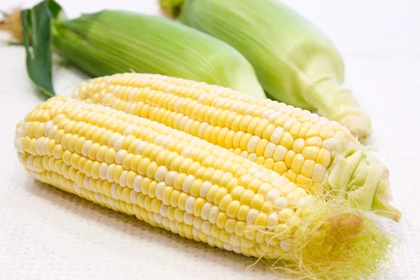 黄玉米 — 图库照片
