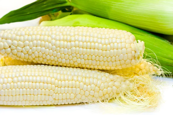 Fehér kukorica — Stock Fotó