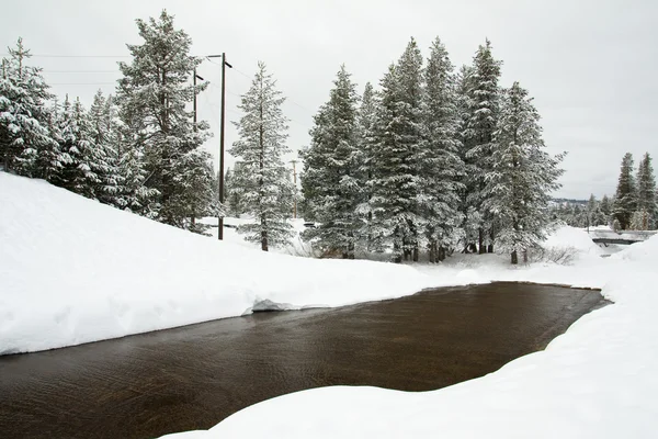 Escena de nieve invierno —  Fotos de Stock