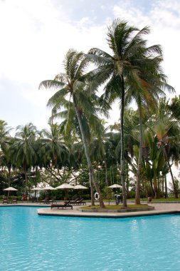 Resort swimming pool clipart