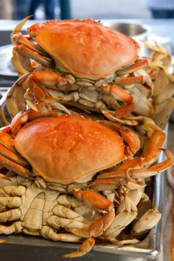 Dungeness crabs clipart