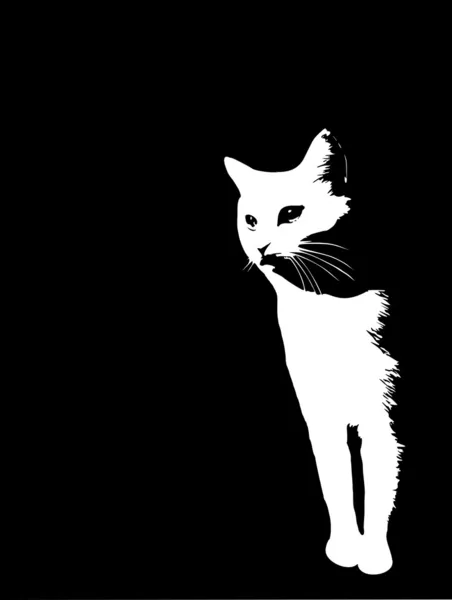 Vit katt — Stock vektor