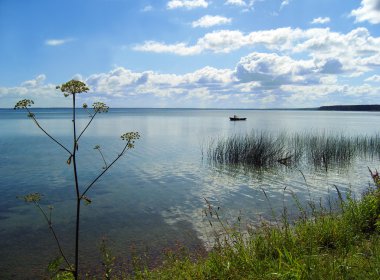 Big lake in summer day. clipart