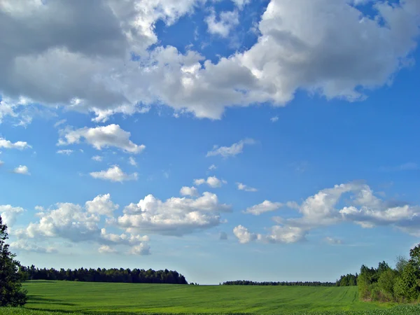 stock image Landscape.