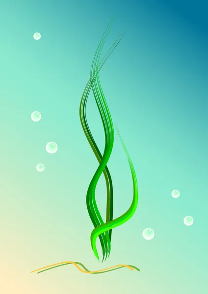 Algues — Image vectorielle