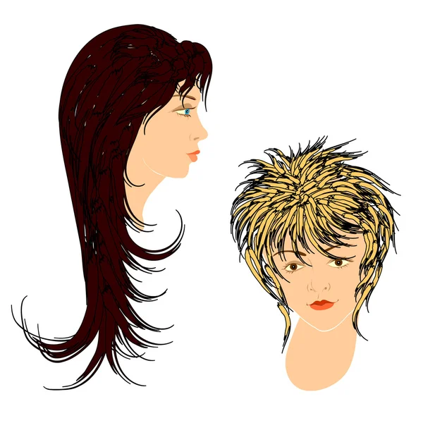 Feminine hairdos. — Stock Vector