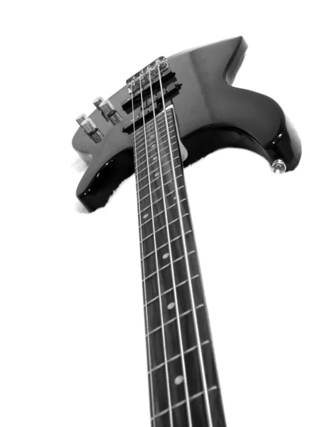 Bass — Stock Photo, Image