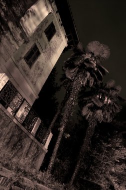 gece çekimi