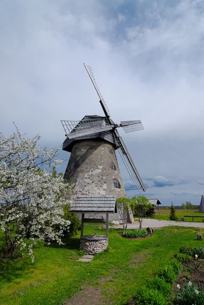 Windmühle im Frühjahr — Stockfoto