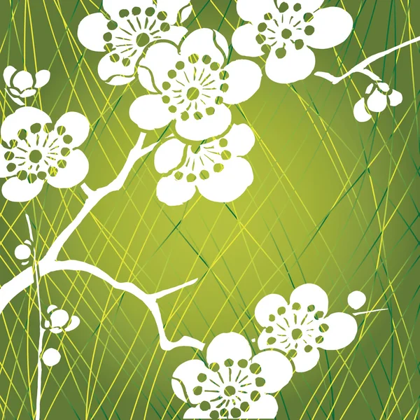 Ohka fiore su verde — Vettoriale Stock