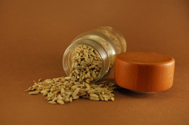 Fennel seeds clipart