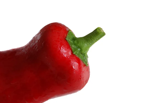 stock image Red Pepper