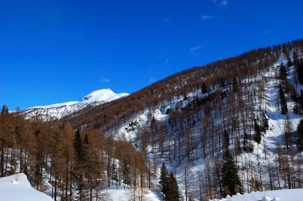 Verschneite Berglandschaft — Stockfoto