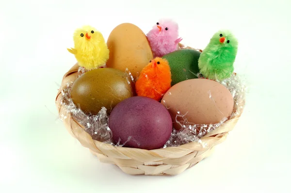 stock image Easter eggs