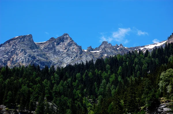 Alpes Paisagem de verão — Fotografia de Stock