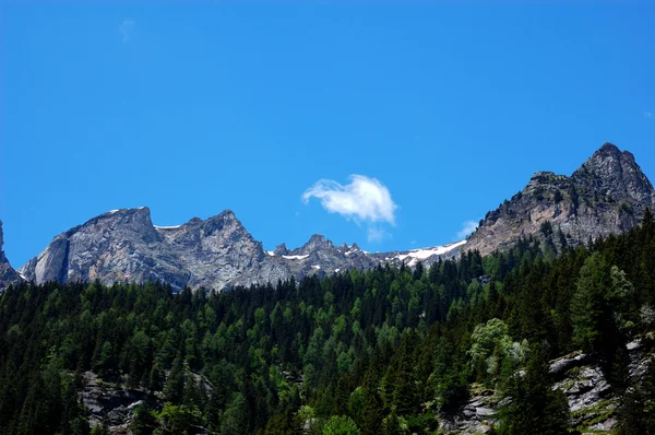 Picos de montanha no verão céu azul — Fotografia de Stock