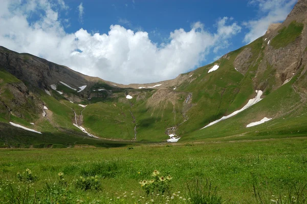 Letní vysokohorské pastviny — Stock fotografie