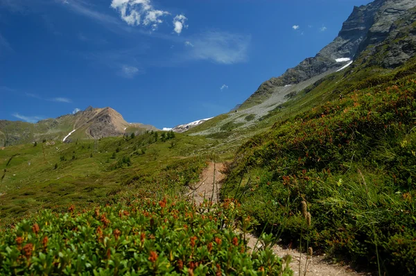Sentiero verso la montagna — Foto Stock