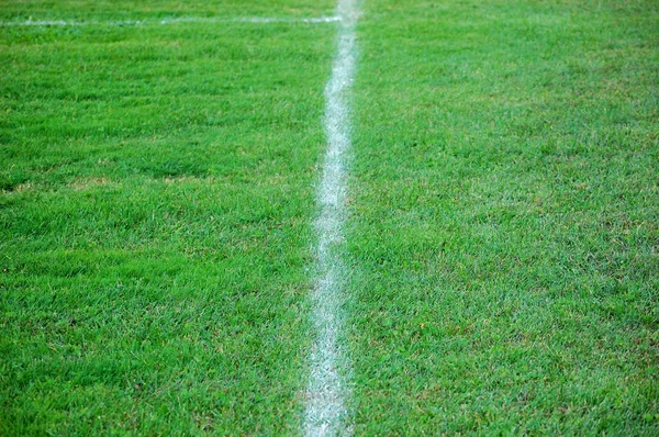 Soccer field line — Stock Photo, Image