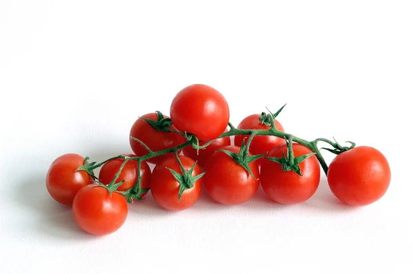 Tomater Stockfoto