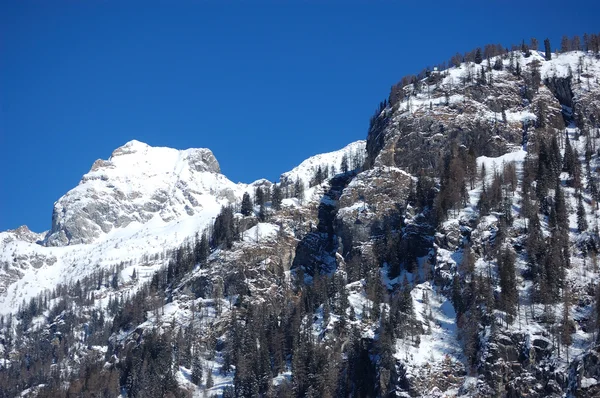 白雪皑皑的山峰，意大利阿尔卑斯山 — 图库照片