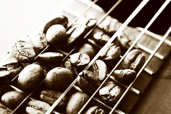 Какао-бобы на струнах гитары — стоковое фото