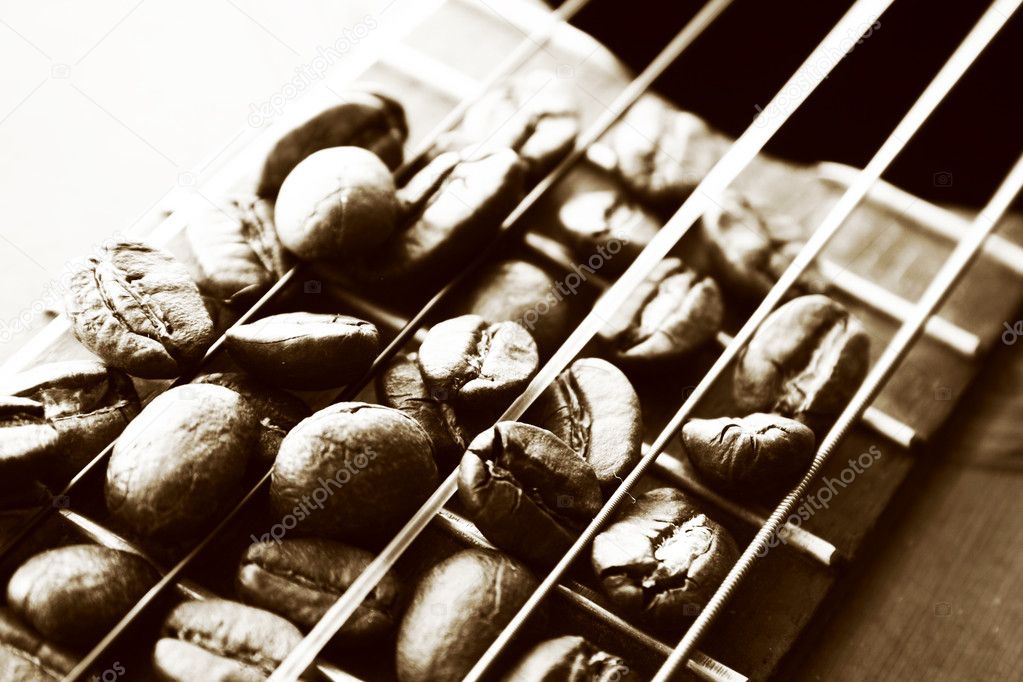Cocoa beans on strings from a guitar