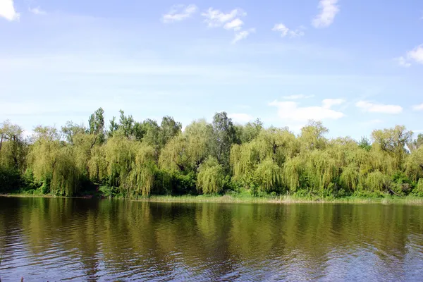 Die Landschaft liegt über dem Fluss — Stockfoto