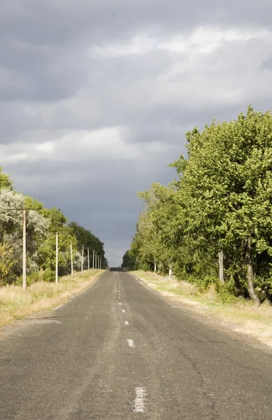 stock image Road