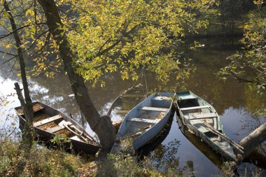 Tekne su Nehri