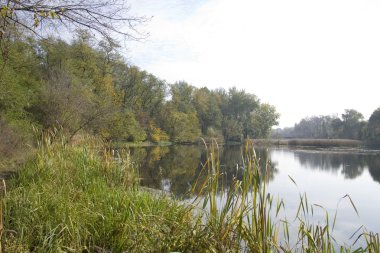 nehir kenarında park peyzaj.