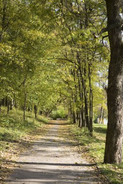 Sonbahar manzarası