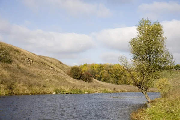 El río tiene un solo árbol —  Fotos de Stock