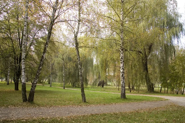 Yedekte bir parkta sonbahar manzara olduğunu — Stok fotoğraf