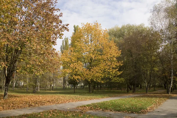 Осенний пейзаж в парке на буксире — стоковое фото