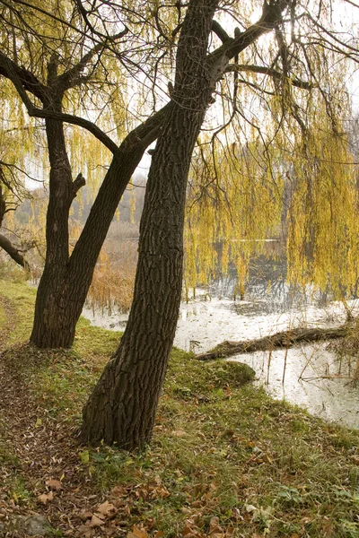 Autumn landscape on the riverside — Stock Photo, Image