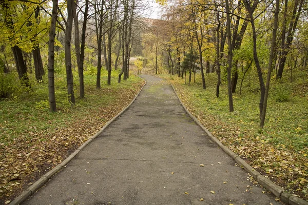Ένας δρόμος πάρκο — Φωτογραφία Αρχείου