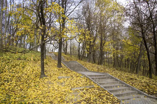 Stair on a hill in a park — Stock Photo, Image