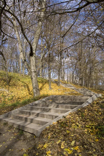 Stair on a hill in a park — Stock Photo, Image