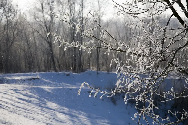 Winter abstractie — Stockfoto