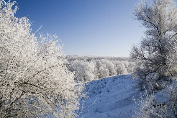 Winter landscape — Stock Photo, Image