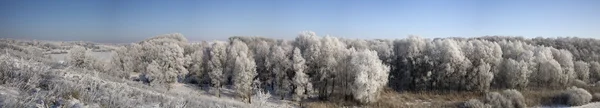 Winterpanorama — Stockfoto