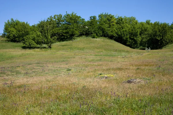 stock image Landscape