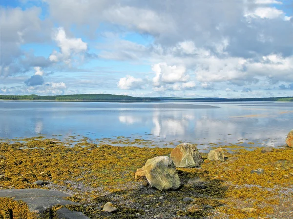 stock image Landscape