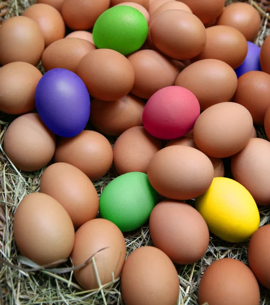 stock image Easter egg