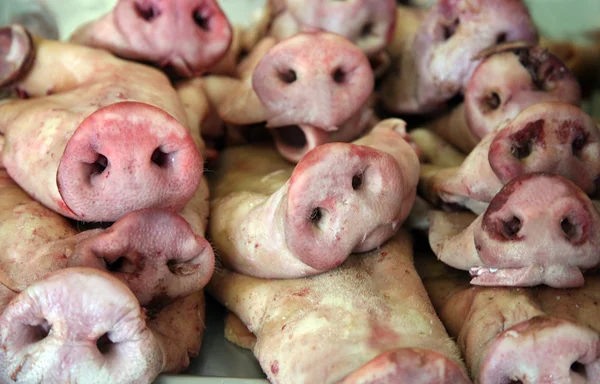 stock image Pork noses