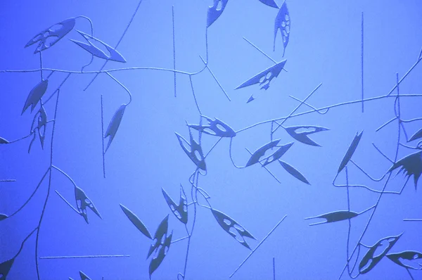Niebieskie szkło matowe — Zdjęcie stockowe