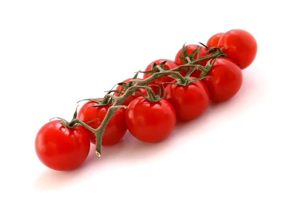 Ramo de tomates — Fotografia de Stock